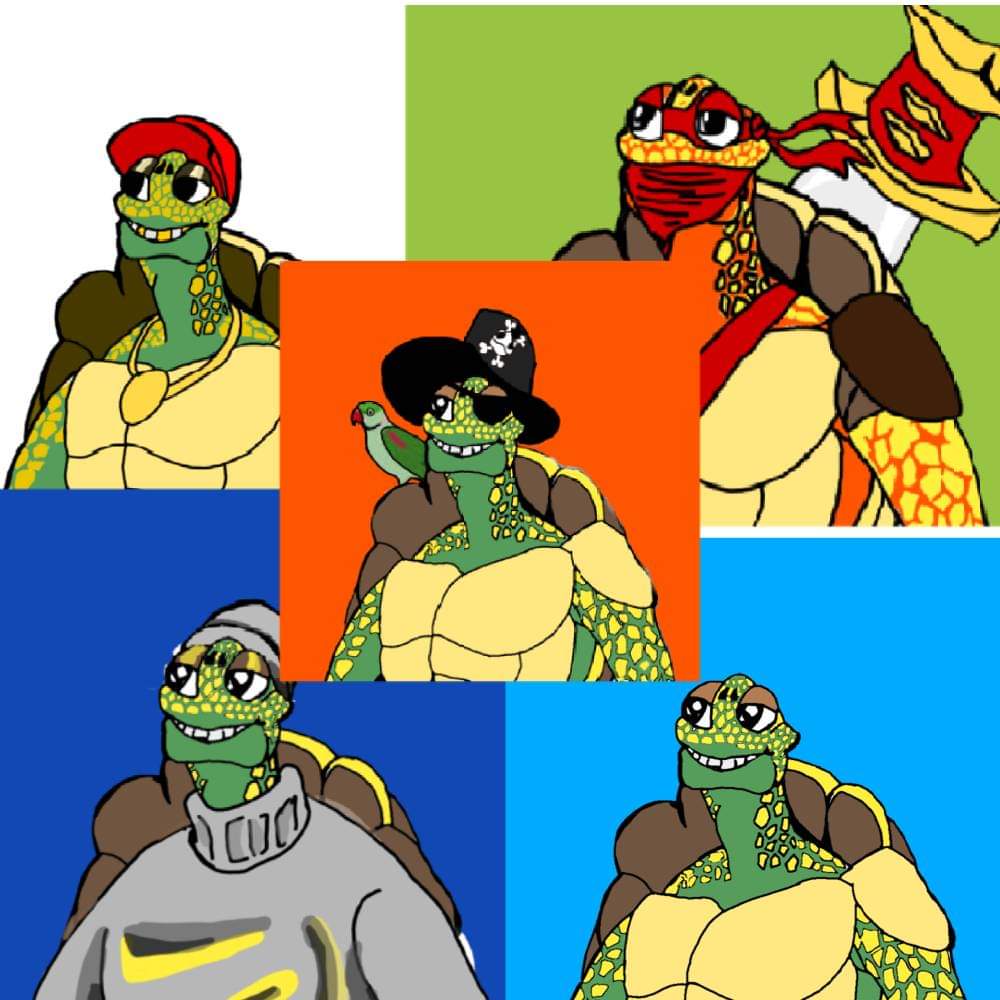 The Whizturtles