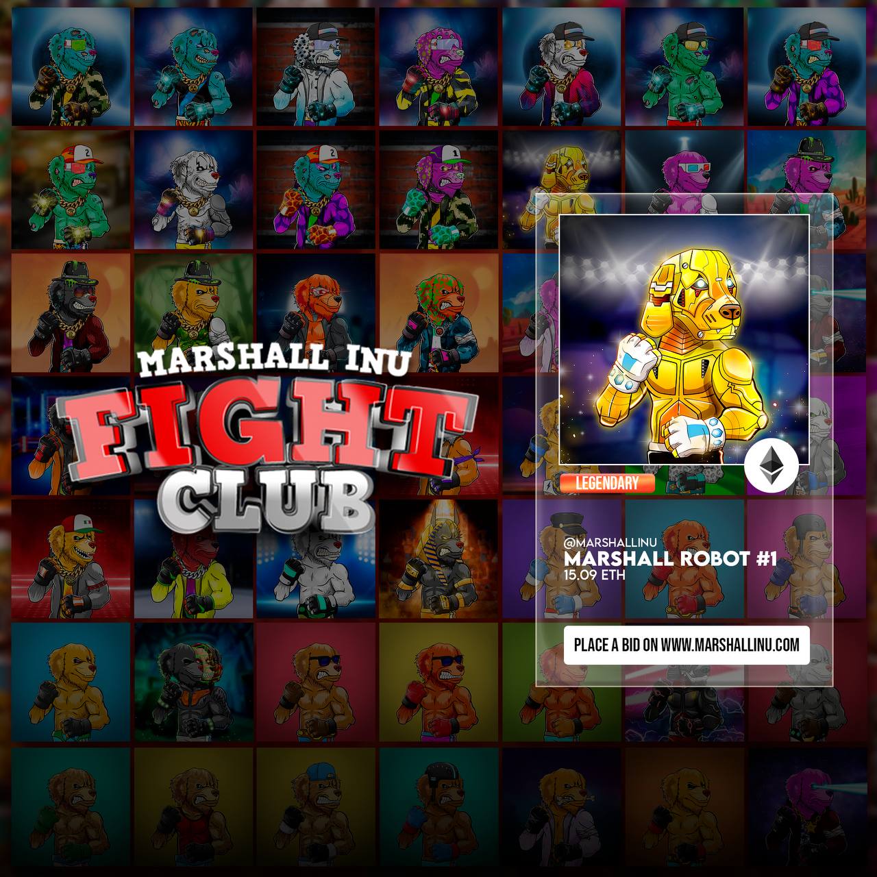 Marshall Fight Club