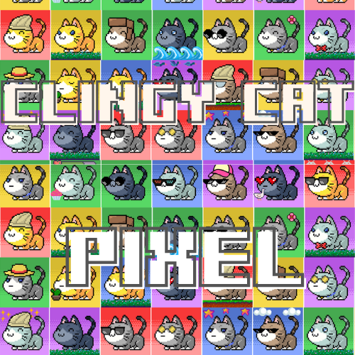 Clingy cat Pixel