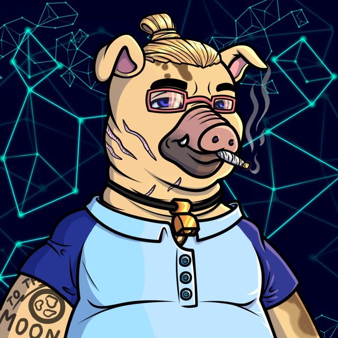 Pig Boss Club