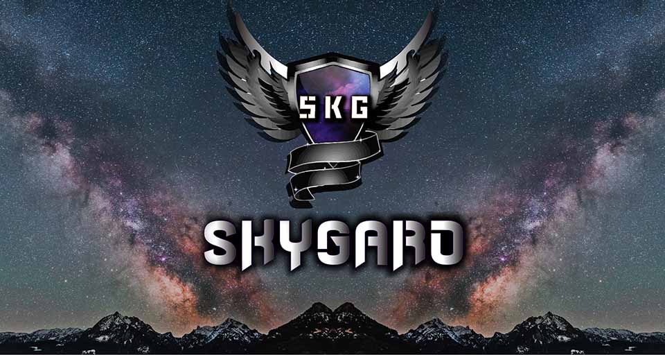 Skygard game